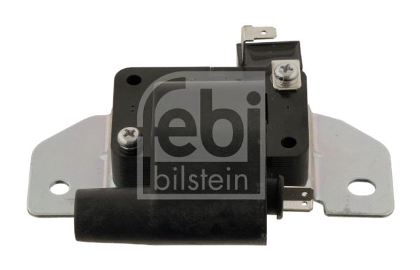 FEBI BILSTEIN ritė, uždegimas 30266